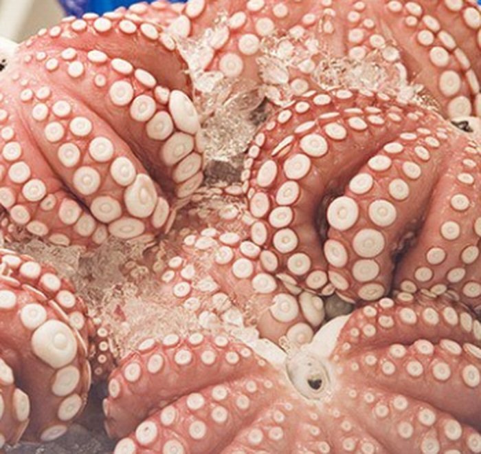 Pulpo — Pacific Protein Group